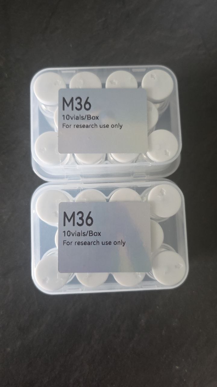 Close-up of sealed BeiBangAn 10-vial kits